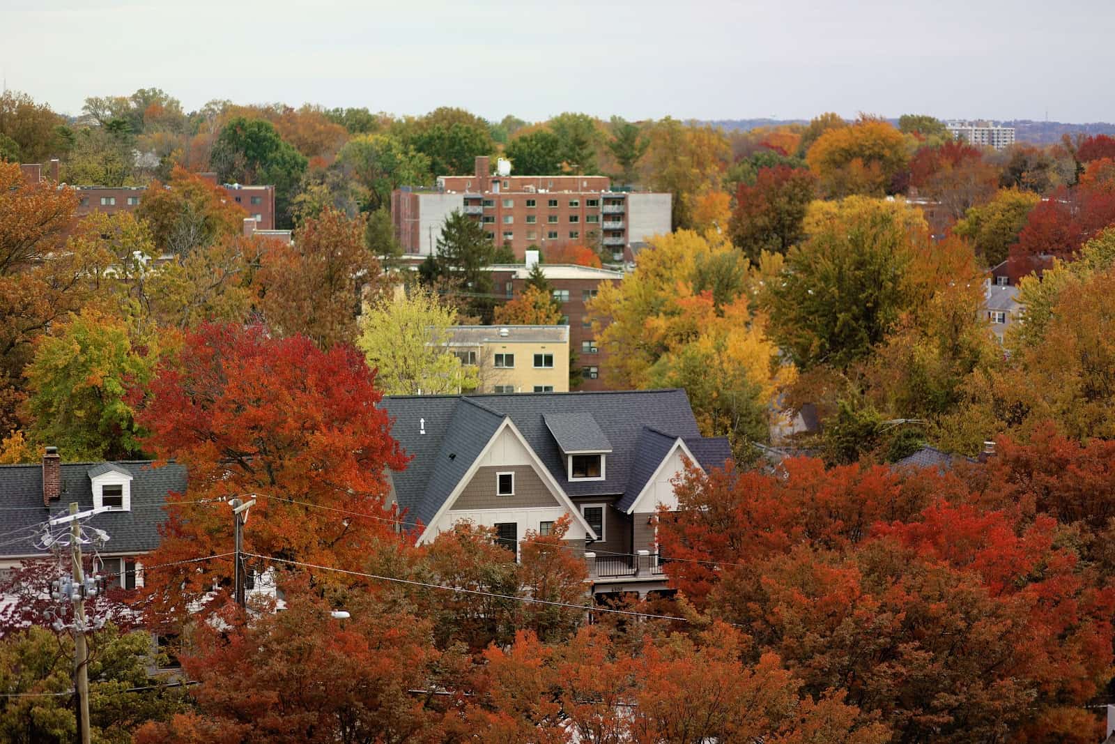 Neighborhoods In Bethesda 