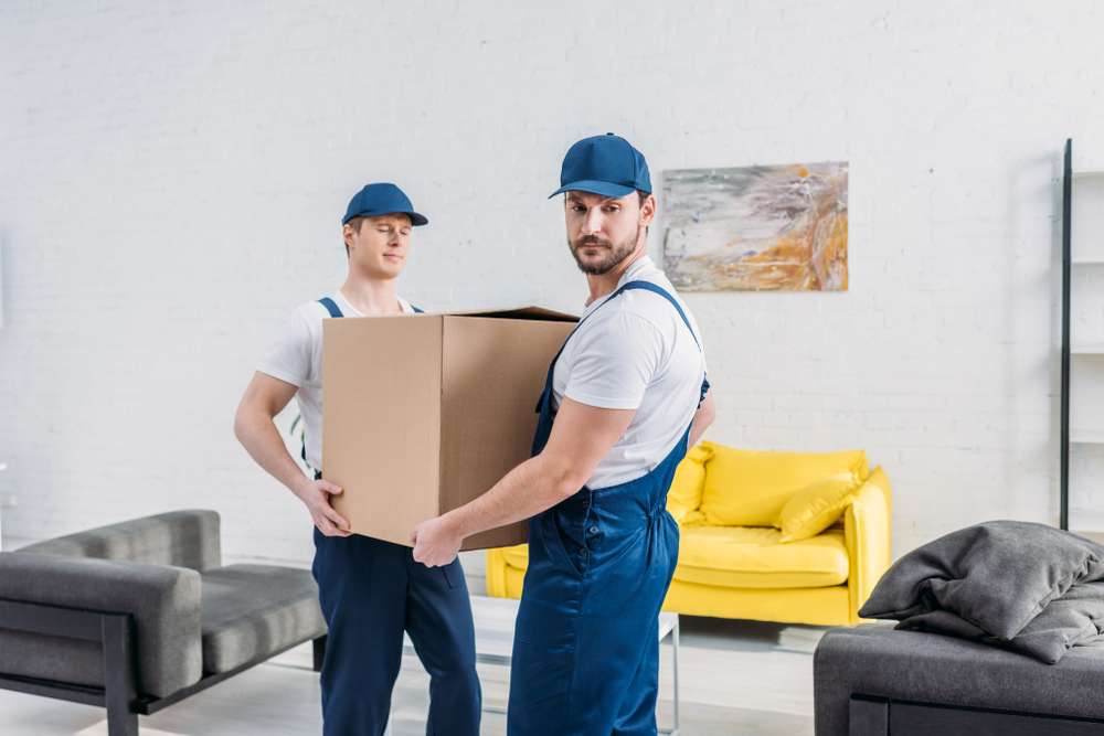 Two movers with a moving company in Whitemarsh Township moving a box out of a room